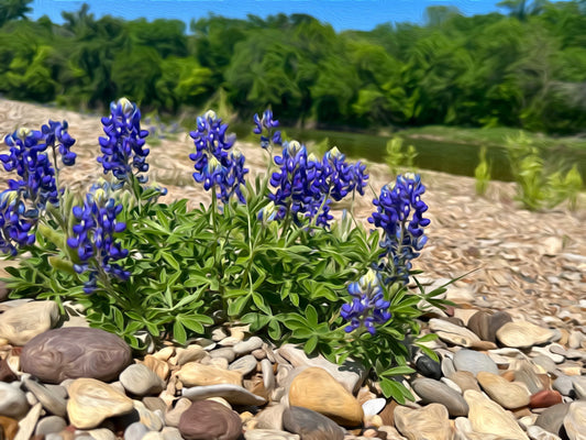 "Bluebonnets on the Brazos" Pieces of Texas Wooden Jigsaw Puzzle