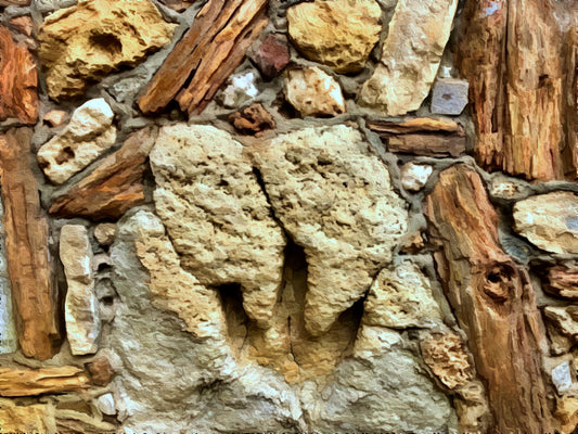 "Dino Track and Petrified Wood" Wooden Jigsaw Puzzle ' Pieces of Texas'