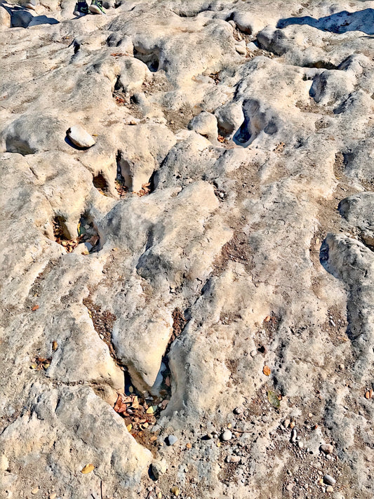 "Paluxy Dino Tracks Drought 2023" Wooden Jigsaw Puzzle 'Pieces of Texas'